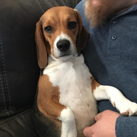 Meet your Posher, Katerra - Picture 1 of 1